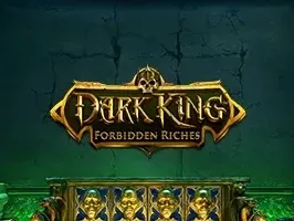 Dark King_ Forbidden Riches